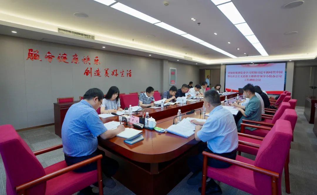 尊龙凯时人生就是搏集团召开主题教育辅导幼组办公室工作调度会议